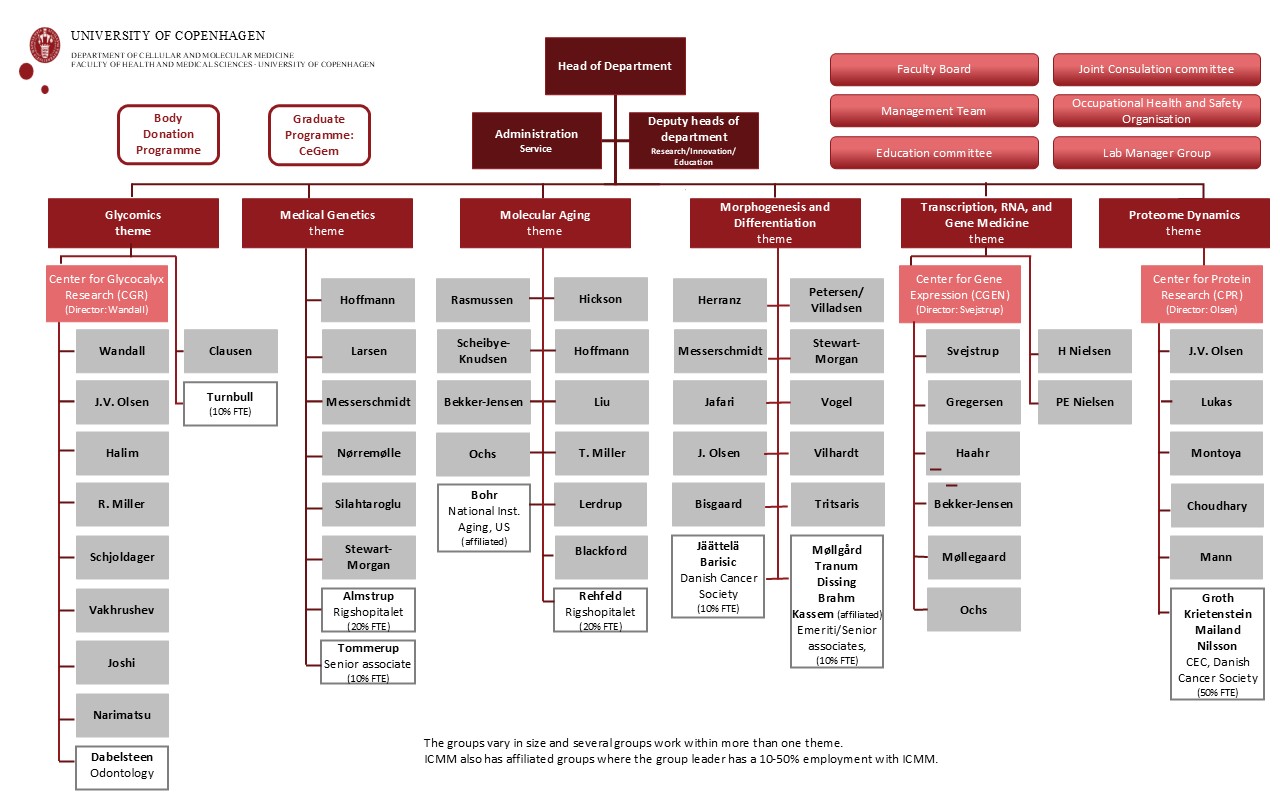 organisation chart ICMM, fall 2025 organisation chart ICMM, fall 2025