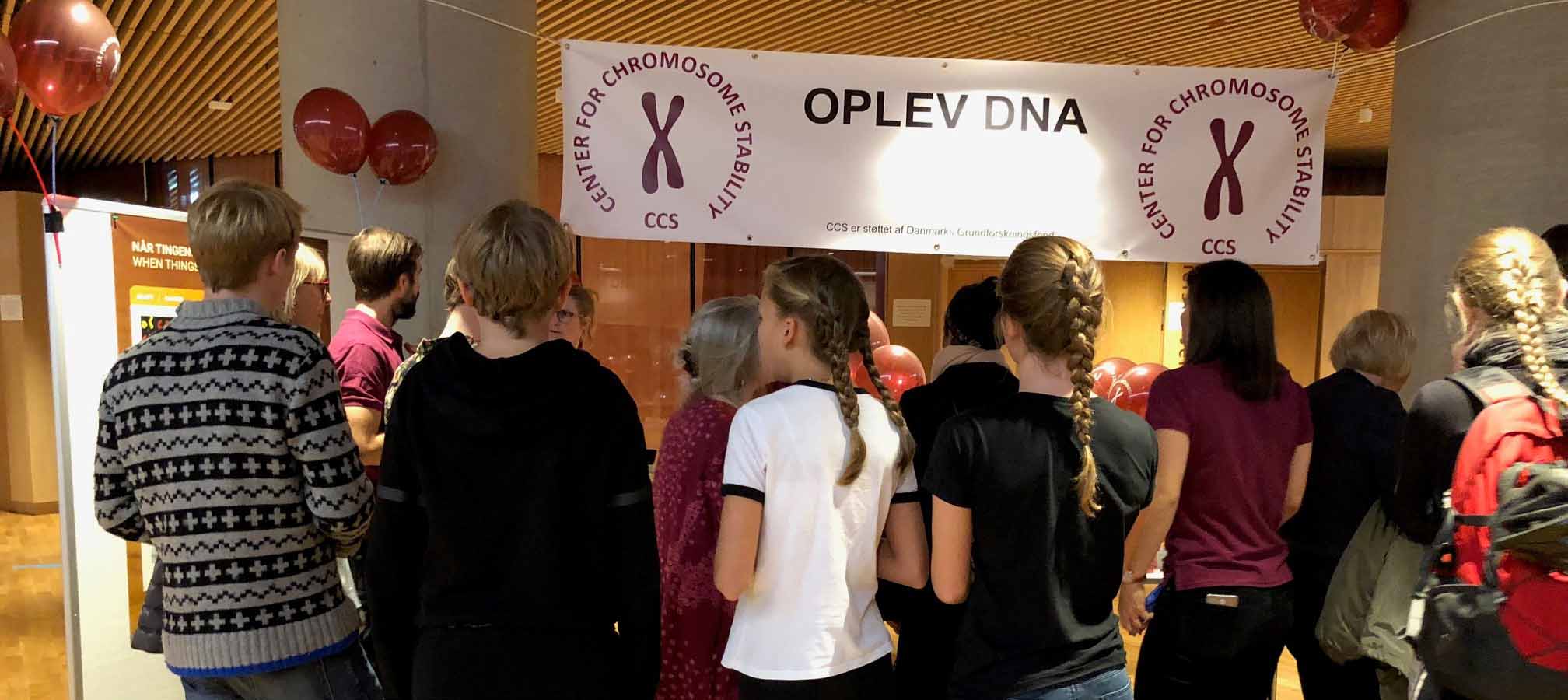 photo from CCS event at Copenhagen Culture Night 2018