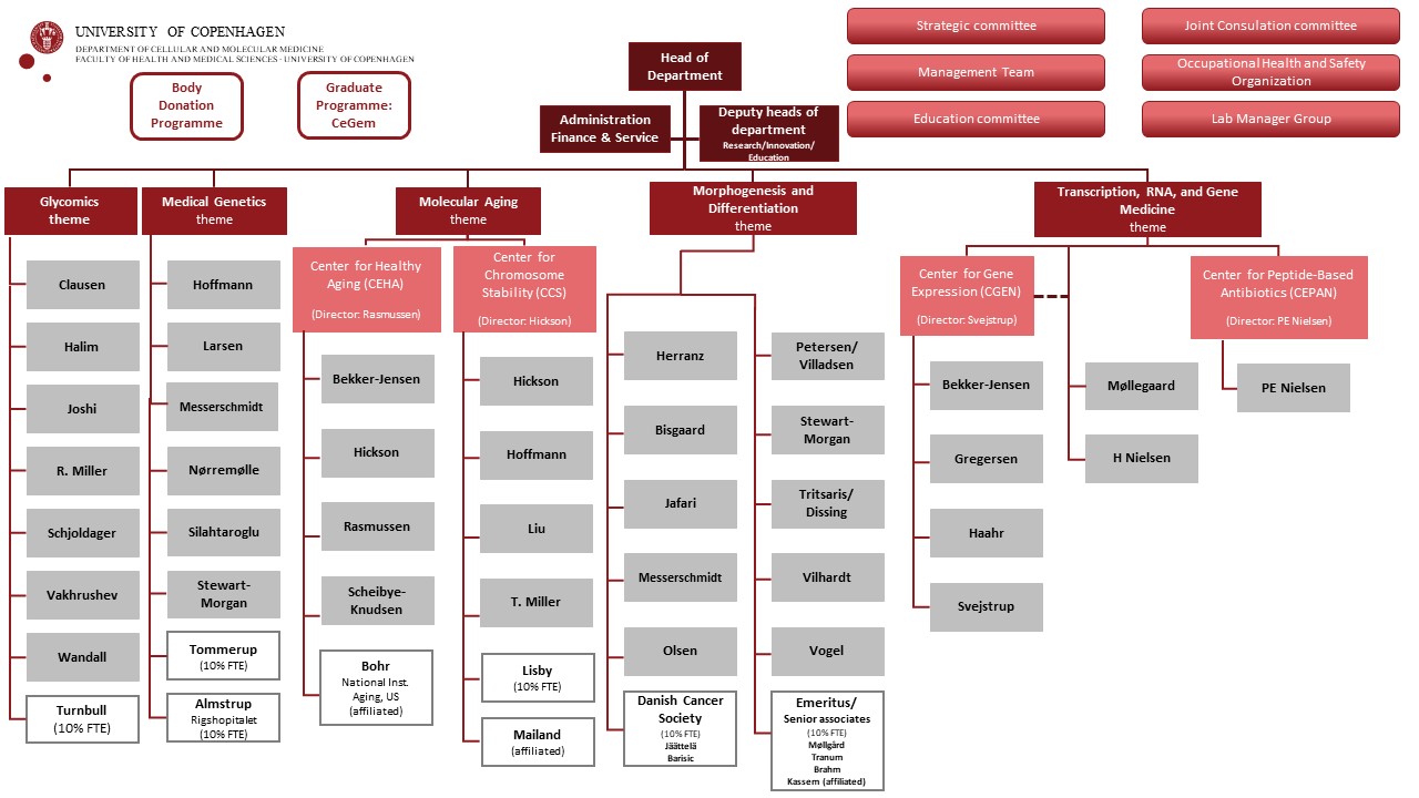 organisation chart ICMM, spring 2023